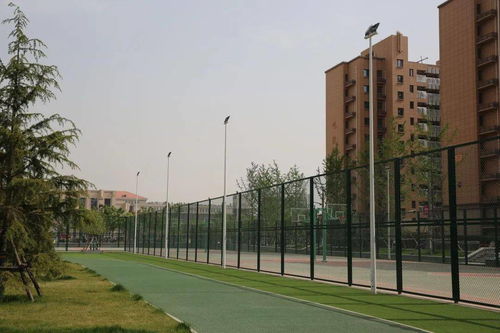 陜建古建園林集團榮獲園林工程獎 銅獎