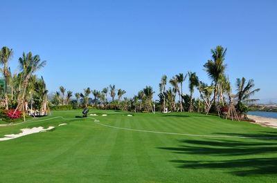 山東順和園林綠化工程簽約建文軟件，攜手推動園林工程信息化進程